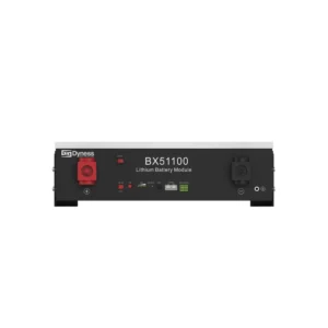 Dyness BX51100 Lithium-Ion Battery